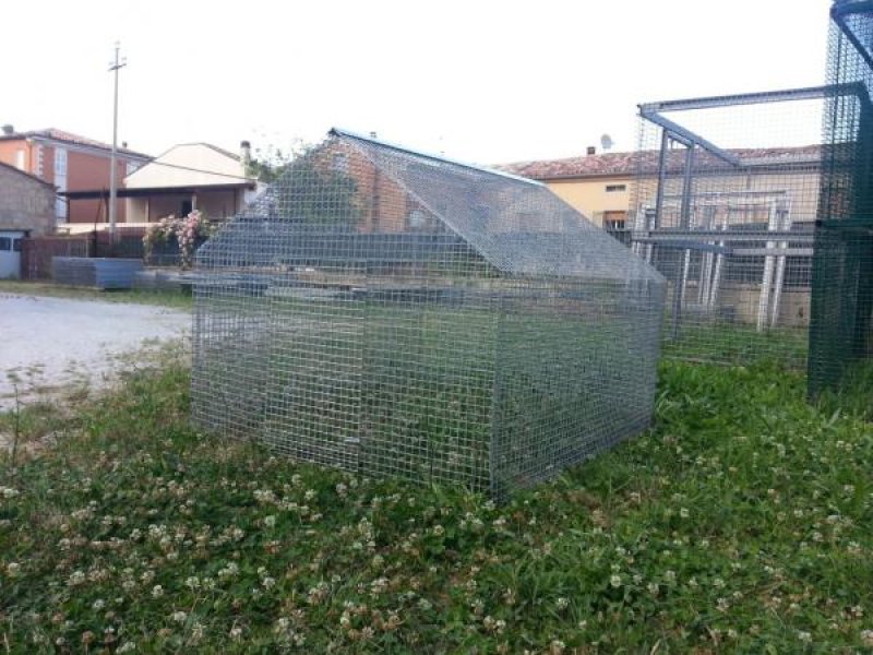 Hobby volatili - immagine 5